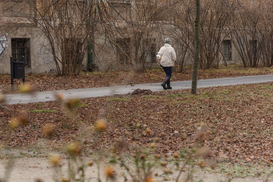 Łódź. Spacerowicze w parku Poniatowskiego