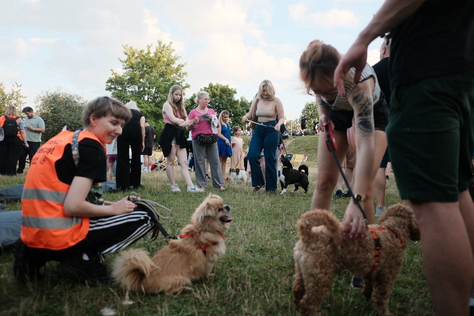 Łódź. Psia Polówka za nami! Na Olechowie pojawili się łodzianie ze swoimi czworonogami