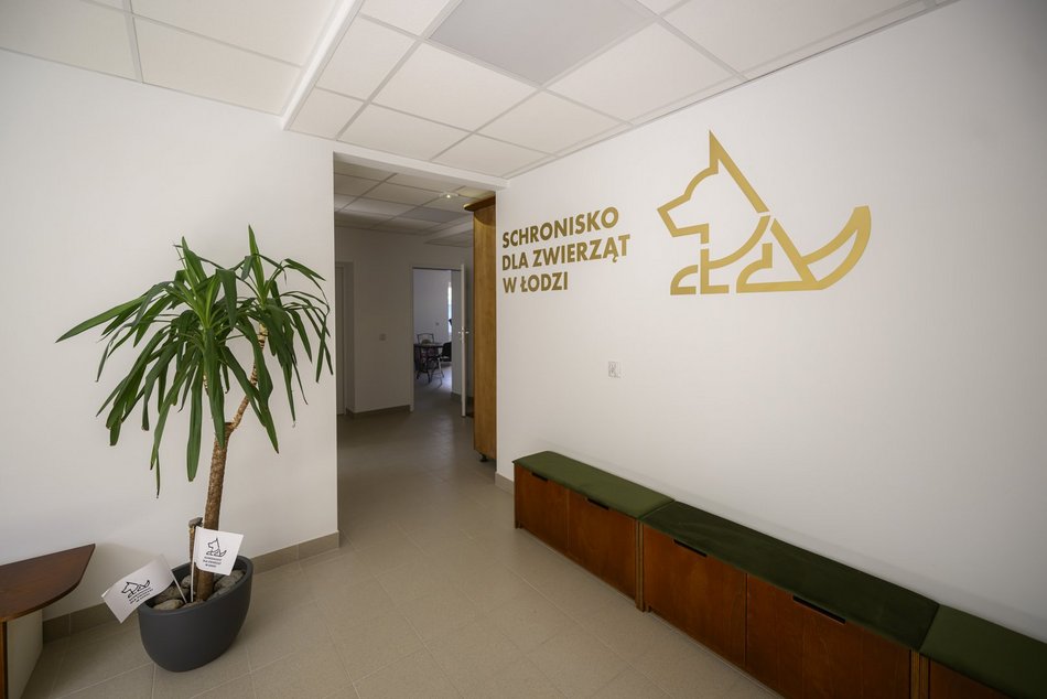 Schronisko w Łodzi świętuje koniec remontu! I zaczyna współpracę m.in. z Widzewem Łódź