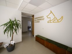 Schronisko w Łodzi świętuje koniec remontu! I zaczyna współpracę m.in. z Widzewem Łódź