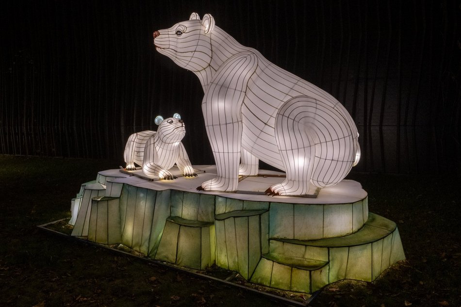 Park Miliona Świateł w Łodzi otwarty! Magiczne zwierzęta opanowały Orientarium Zoo Łódź