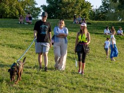 Łódź. Psia Polówka na Widzewskiej Górce. Psiaki przejęły dowodzenie!