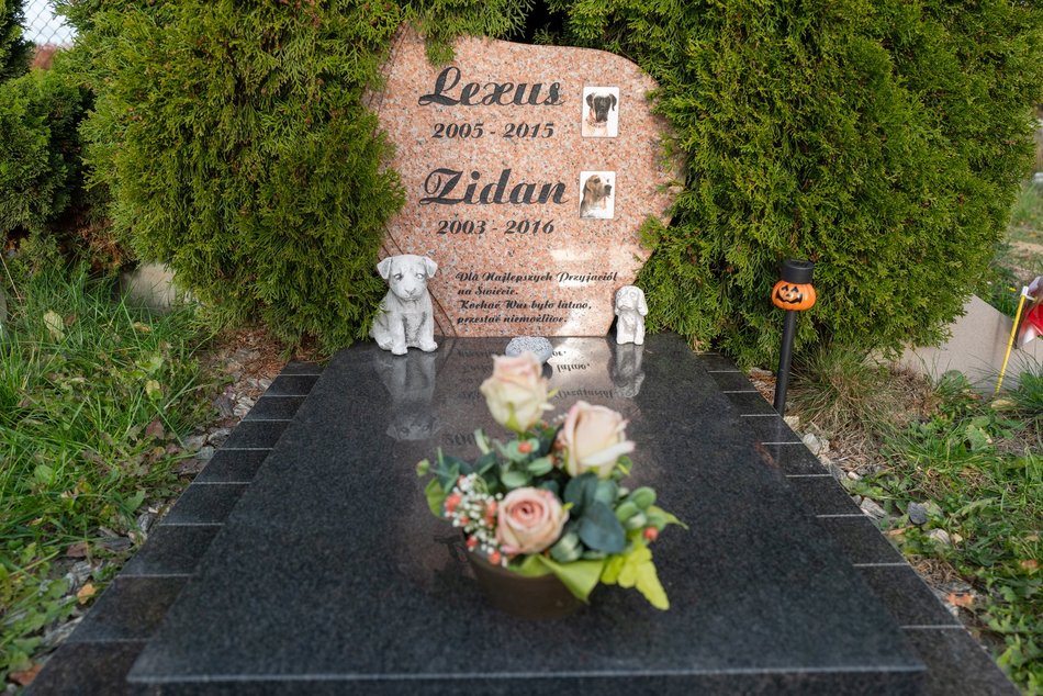 Cmentarz dla zwierząt w Łodzi