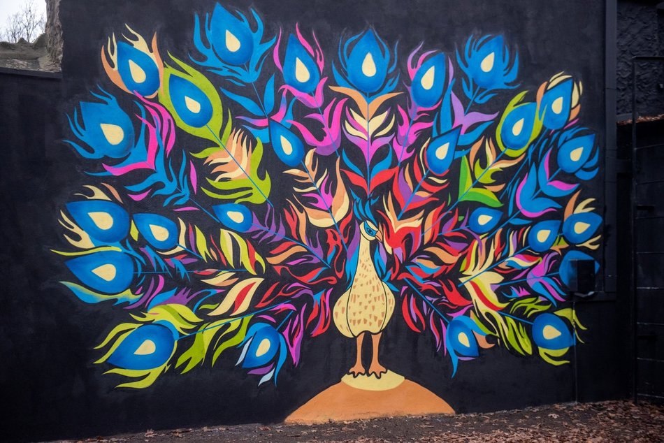 Різнокольорові мурали в Лодзі