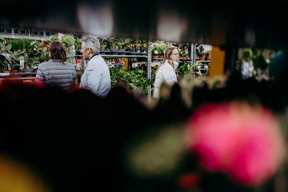 Łódź. Festiwal Roślin w Sport Arenie w Łodzi. Wyjątkowe okazy i tłumy łodzian!