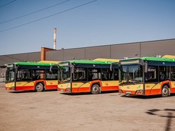 Łódź. Autobusy MPK Łódź