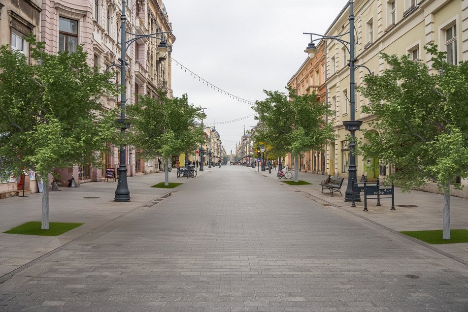 Nowe drzewa na Piotrkowskiej w Łodzi od placu Wolności