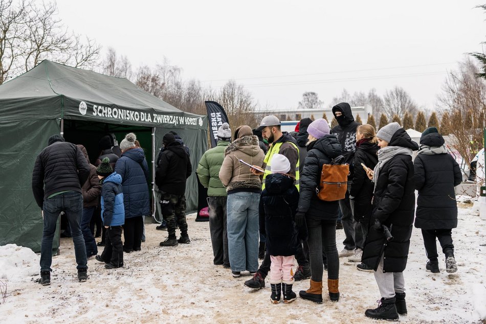Łódź. Psy ze schroniska w Łodzi znów na spacerze! Dla tych wesołych pyszczków aż chce się chodzić!