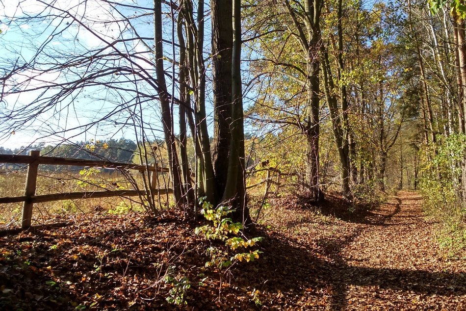 Łódź. TOP 11 atrakcji Spalskiego Parku Krajobrazowego. Natura, historia i przygoda w jednym