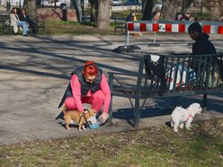 Park Staromiejski i Manufaktura skąpane w wiosennym słońcu