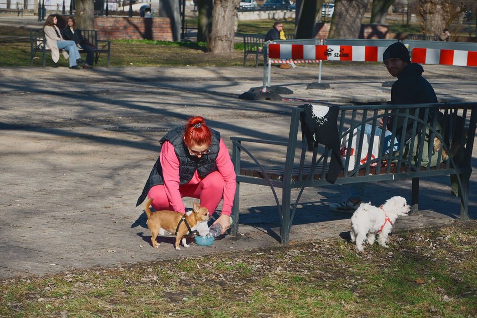 Park Staromiejski i Manufaktura skąpane w wiosennym słońcu