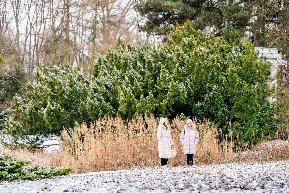 Park Poniatowskiego w zimowej szacie