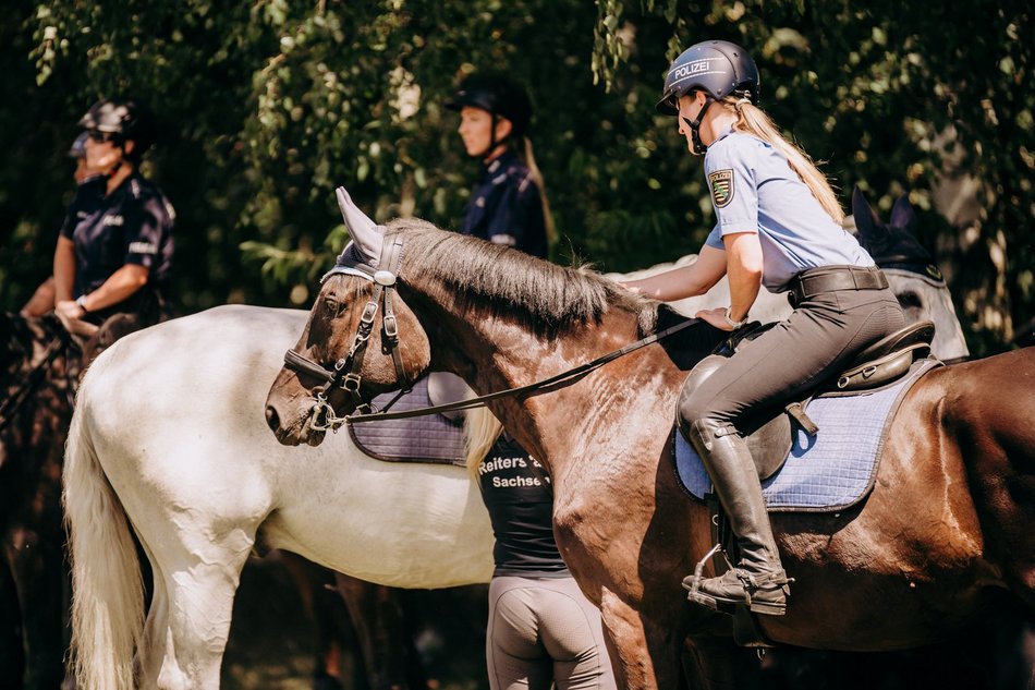 Międzynarodowy Turniej Mundurowych Formacji Konnych