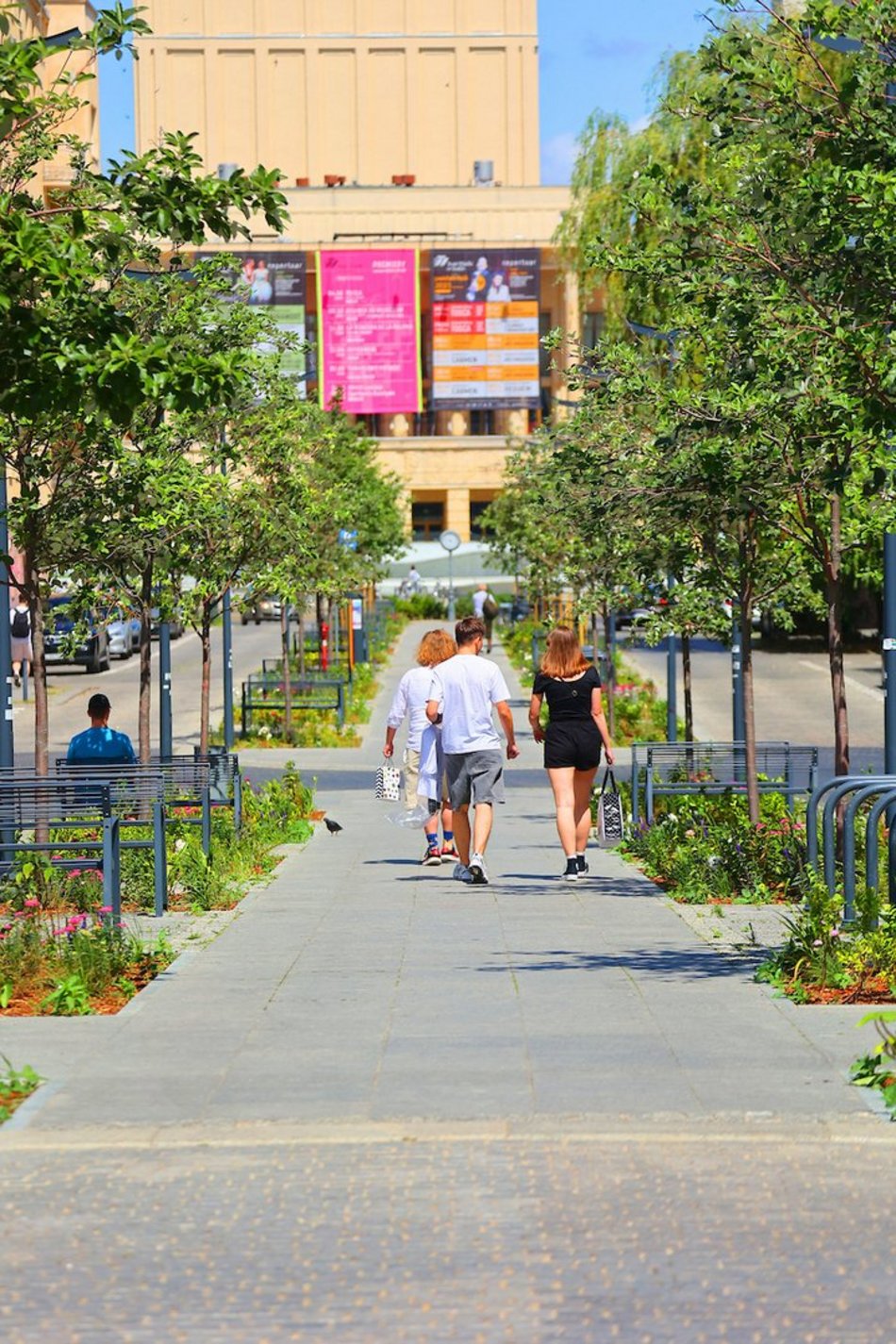 Łódź. Knychalskiego w Łodzi cała w zieleni! Nowe drzewa, kwiaty i rabaty
