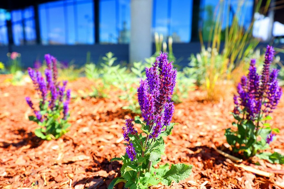 Łódź. Zieleń przy Bramie Miasta w Łodzi. Chwila oddechu w samym centrum
