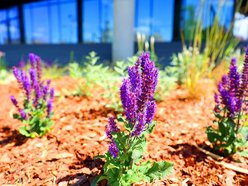 Łódź. Zieleń przy Bramie Miasta w Łodzi. Chwila oddechu w samym centrum