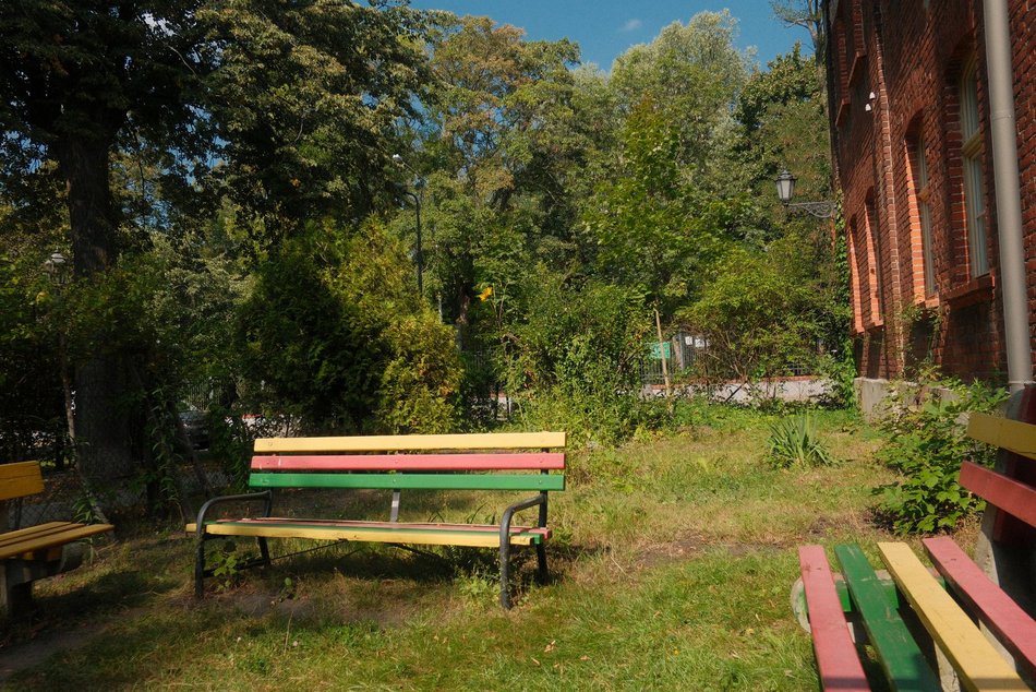 Łódź. Dom Dziennego Pobytu w Łodzi czeka zielona metamorfoza