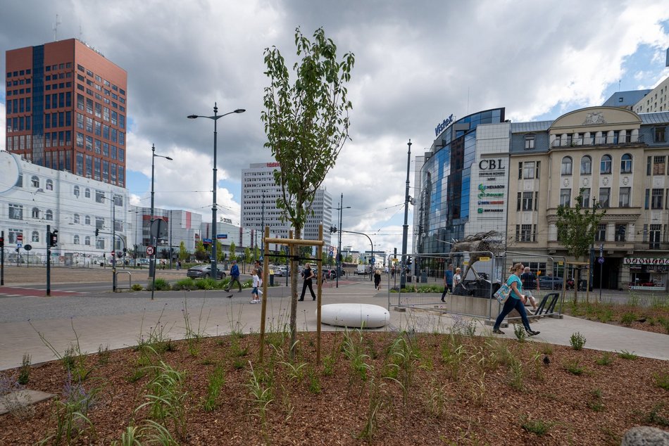 Przy Stajni Jednorożców w Łodzi robi się zielono! Widać już efekty odbetonowania