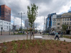 Przy Stajni Jednorożców w Łodzi robi się zielono! Widać już efekty odbetonowania