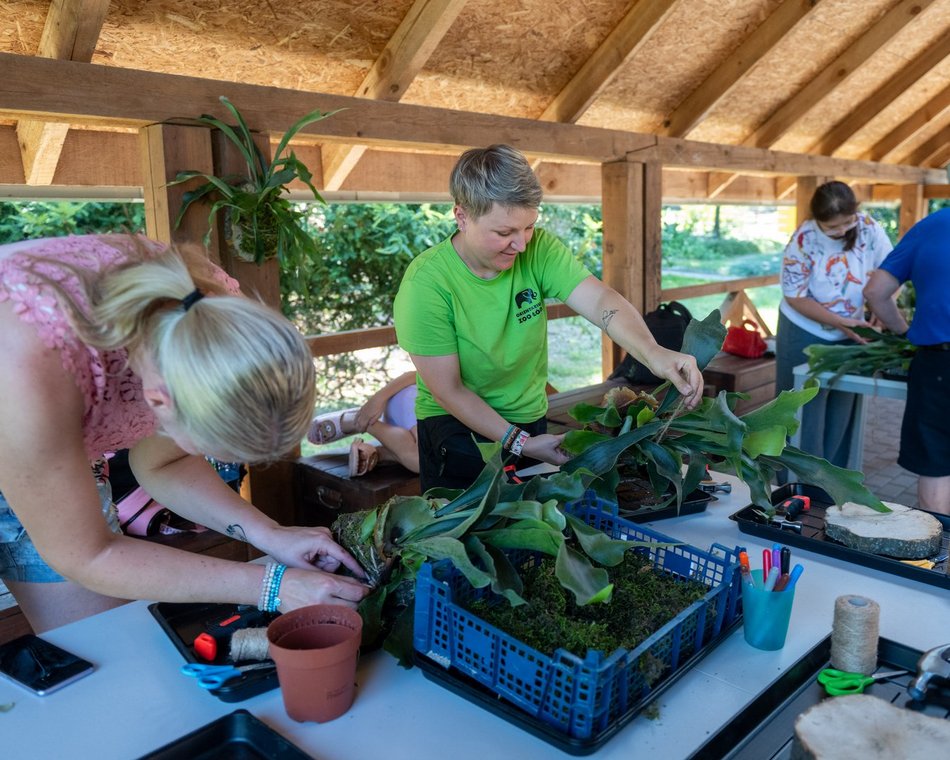 Łódź. Zielona Feta w Orientarium Zoo Łódź. Moc atrakcji na długi weekend