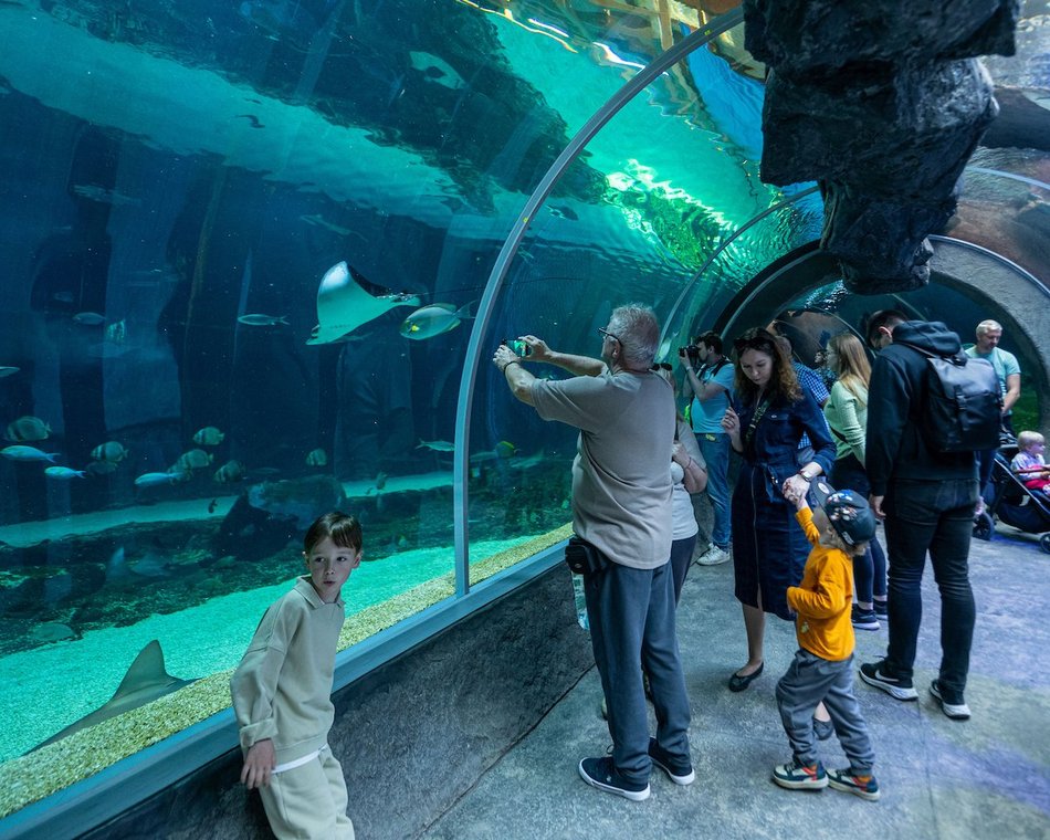 Łódź. Majówka 2025. Łodzianie wybrali relaks w Orientarium Zoo Łódź i w Aquaparku Fala