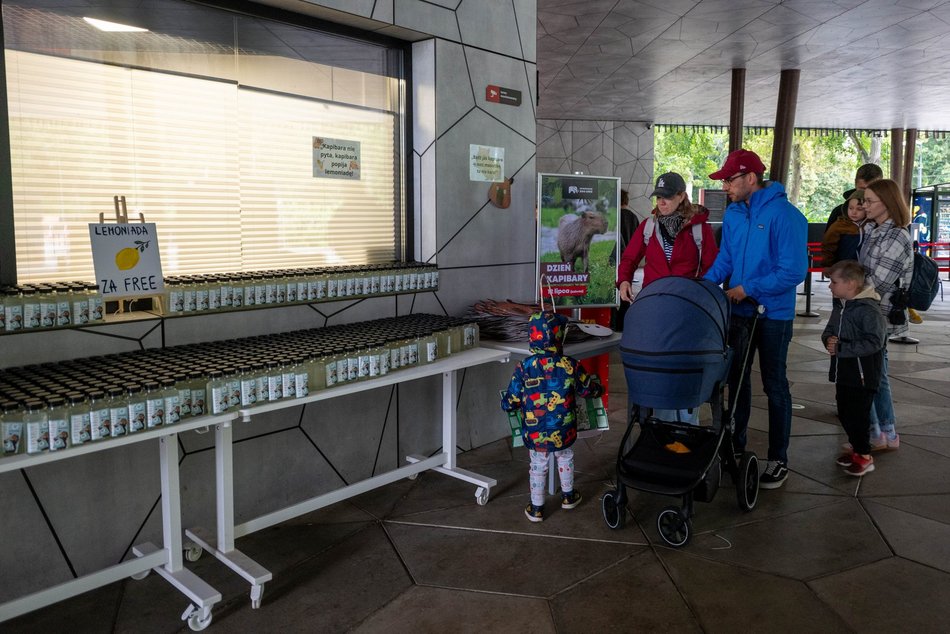 Łódź. Zlot Fanów Kapibary w Orientarium Zoo Łódź. Świetna frekwencja mimo niepogody