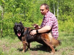 Łódź. Remi ze schroniska w Łodzi przez miesiąc była sama w opuszczonym mieszkaniu. Przygarniesz ją?