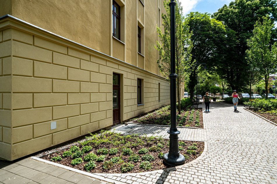 Woonerf i pasaże przy Mielczarskiego pełne zieleni