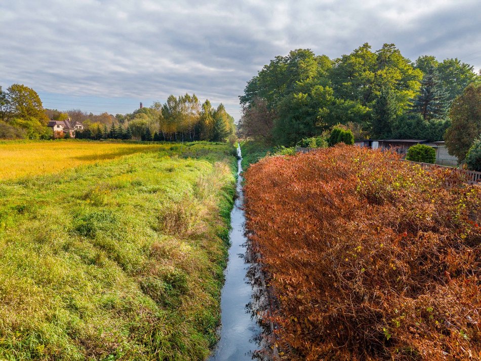 Będą nowe plany miejscowe dla dolin Olechówki, Bzury i Łagiewniczanki