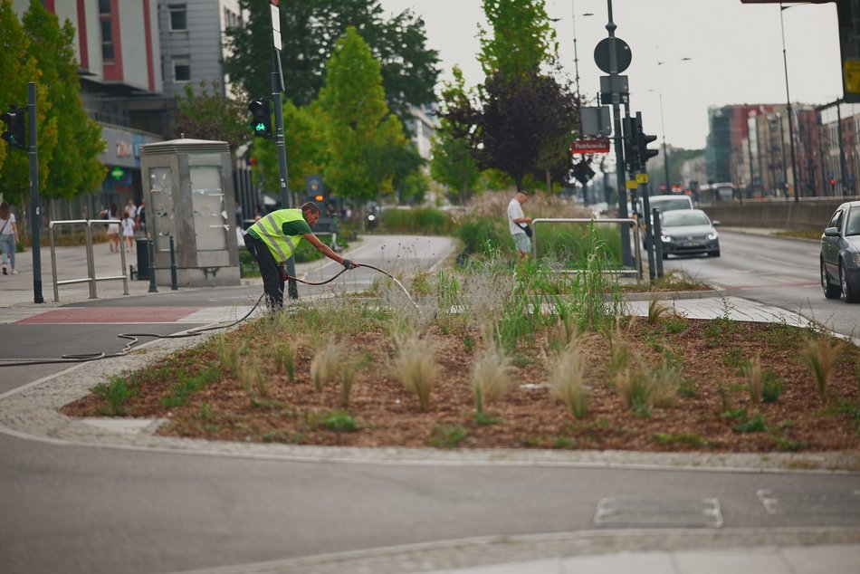 Plac przy kawiarni Starbucks w centrum Łodzi odżywa! Tyle tam zieleni!