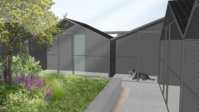 Wielka metamorfoza schroniska w Łodzi. Komfortowe boksy dla czworonogów i więcej zieleni