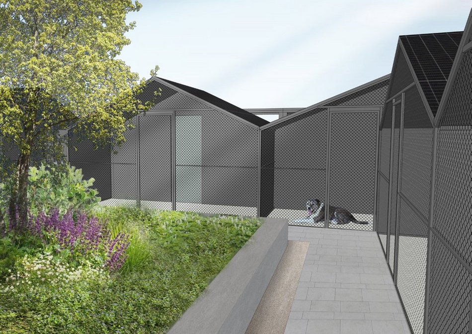 Łódź. Wielka metamorfoza schroniska w Łodzi