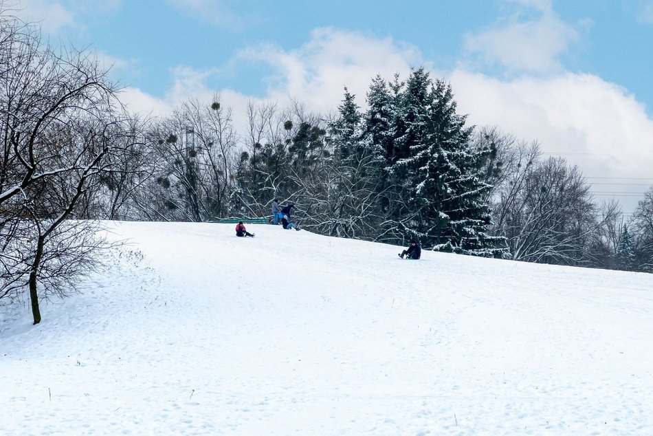 Łódź. Gdzie na sanki