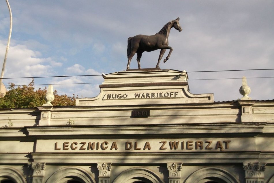 Hugo Warrikoff. Lekarz weterynarii i założyciel lecznicy dla zwierząt „Pod koniem”