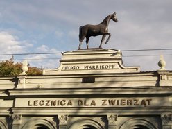 Hugo Warrikoff. Lekarz weterynarii i założyciel lecznicy dla zwierząt „Pod koniem”