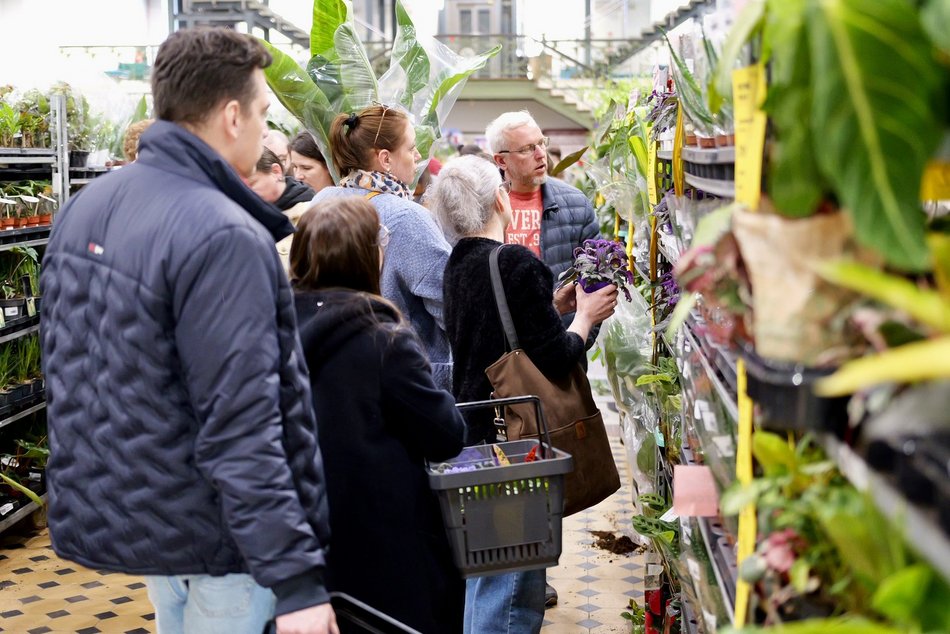 Łódź. Przyjdź na Festiwal Roślin w EC1 Łódź! Nowe gatunki, okazy kolekcjonerskie i więcej