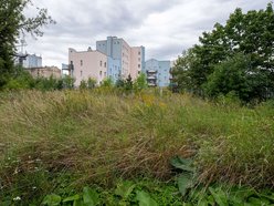 Łódź. Nowy skwer przy Kopcińskiego w Łodzi. Powstanie plac zabaw, wybieg dla psów i spacerowa aleja