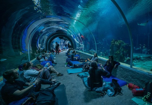 Łódź. Mikołajkowe nocowanie w Orientarium Zoo Łódź