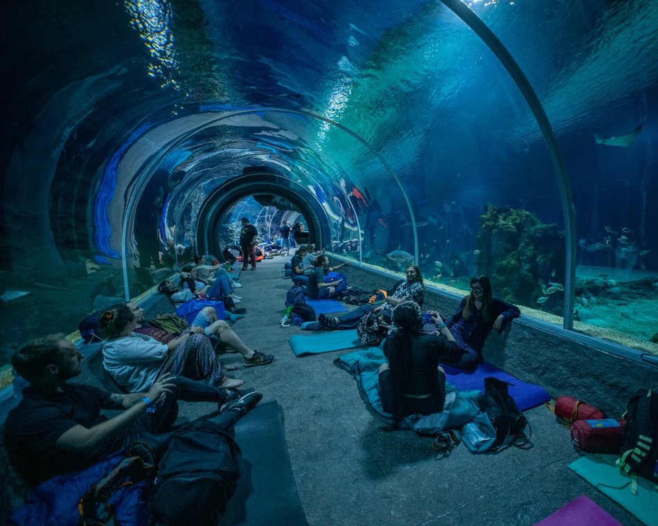 Łódź. Mikołajkowe nocowanie w Orientarium Zoo Łódź