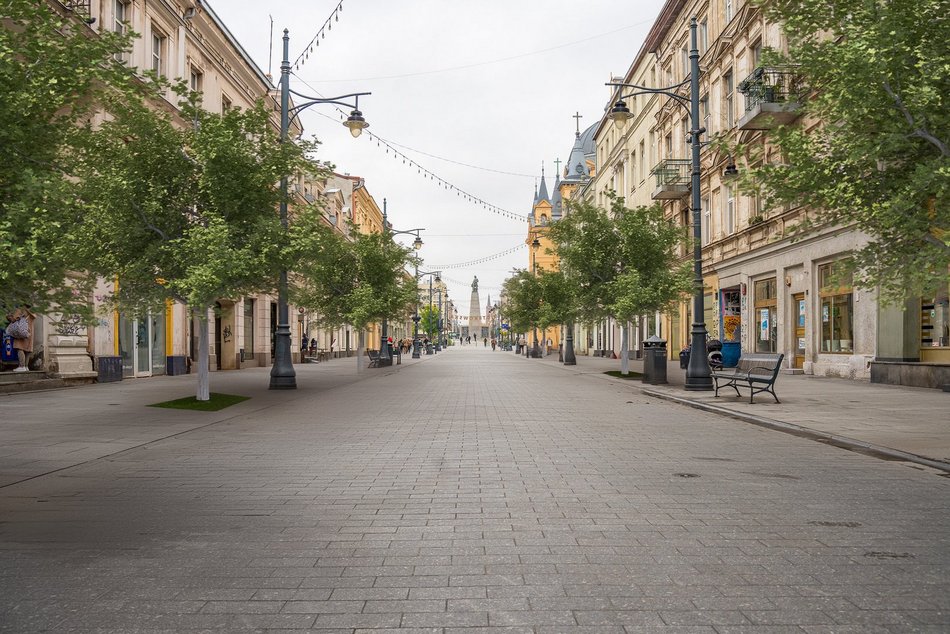Nowe drzewa na Piotrkowskiej w Łodzi od placu Wolności