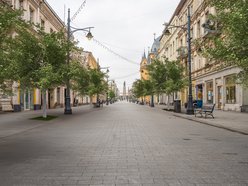 Nowe drzewa na Piotrkowskiej w Łodzi od placu Wolności