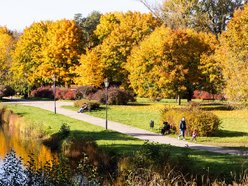 Łódź. Park Helenów w Łodzi w jesiennej odsłonie. Spacer w tym miejscu to czysta przyjemność