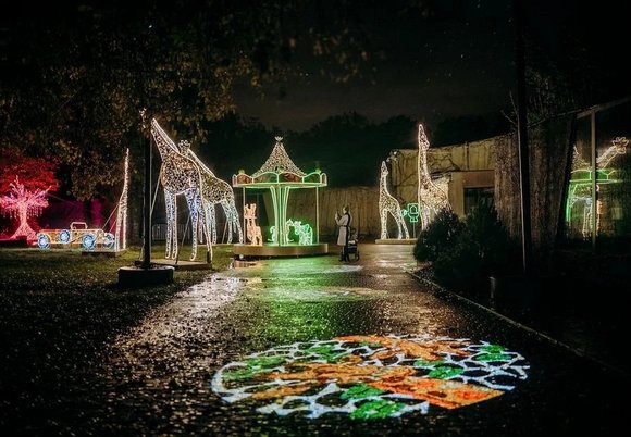 Łódź. Wybierz się na spacer do Parku Miliona Świateł