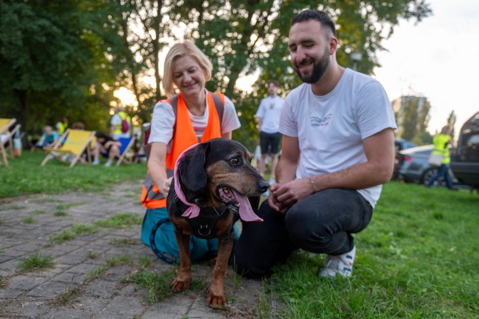 Łódź. Ostatni Psia Polówka w Łodzi za nami. Nic słodszego dziś nie zobaczysz!