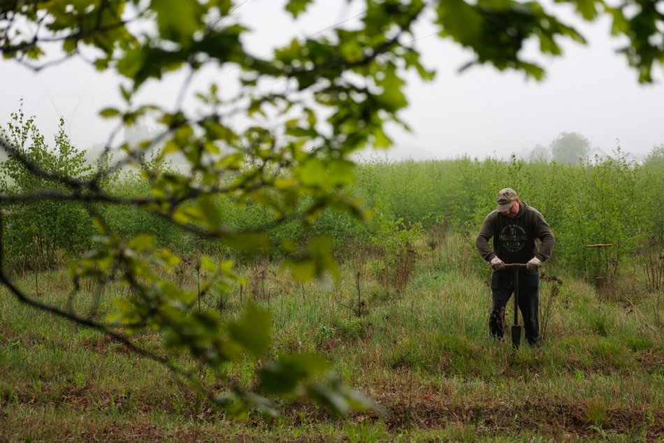 Łódź. Prawie 19 tysięcy nowych drzew w Łodzi jeszcze wiosną