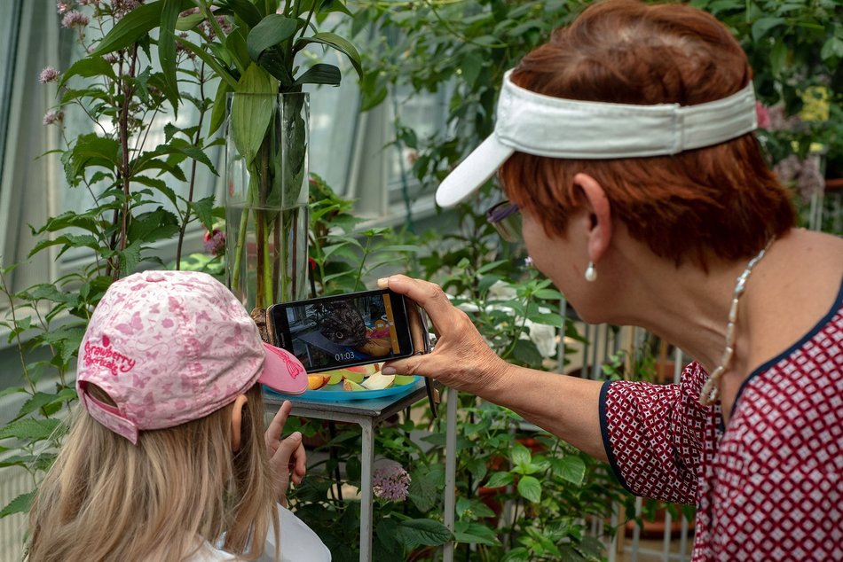 Łódź. Gdzie w Łodzi znaleźć zieleń zimą? Nasze propozycje atrakcji w ogrzewanych wnętrzach