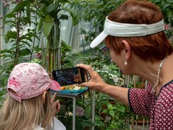 Łódź. Gdzie w Łodzi znaleźć zieleń zimą? Nasze propozycje atrakcji w ogrzewanych wnętrzach