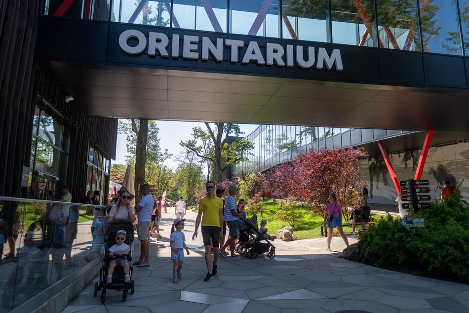 Łódź. Zielona Feta w Orientarium Zoo Łódź. Moc atrakcji na długi weekend