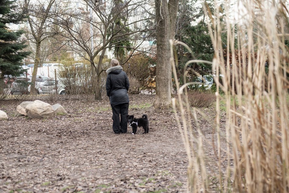 Nowe atrakcje w aż czterech parkach w Łodzi