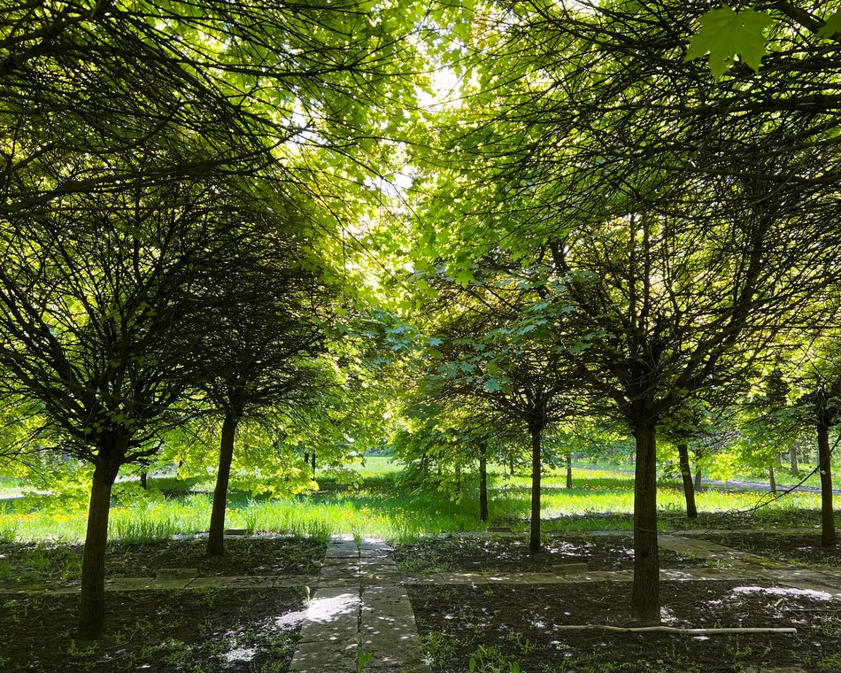 Wiosna w parku na Zdrowiu w Łodzi. Kwitnące drzewa i krzewy